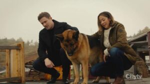 Hudson & Rex Season 1