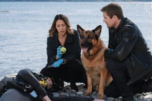 Truth Behind the Fiction: The Real Case That Inspired Hudson & Rex